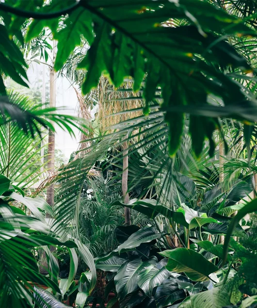 nachhaltigkeit-ewenture